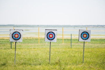 Archery Targets with embedded arrows