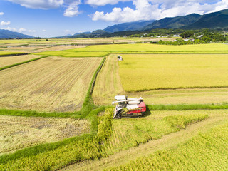 aerial view of Combine harvester machine with rice farm