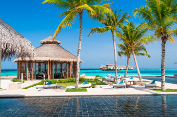 Vacation deluxe. Tropical paradise. Maldives. Relax in the shadows of the palms.