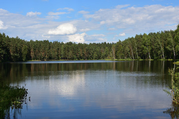 Natural landscape with a forest lake against a blue sky with white clouds