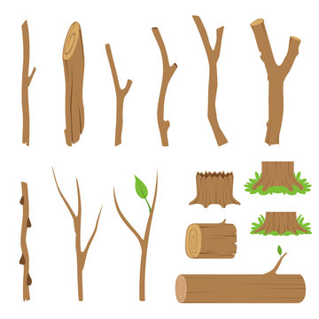 Hemp, logs, branches and sticks of forest trees. Vector illustration