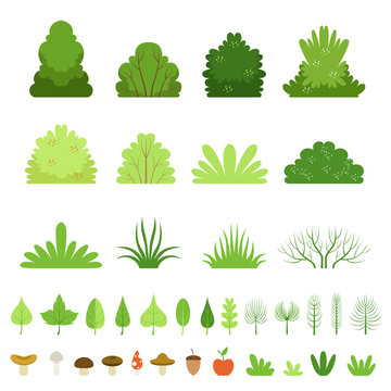 Set of different forest bushes, grasses, leaves of trees, mushrooms and fruits. Vector illustration