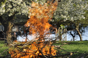Ognisko w sadzie  © Konrad
