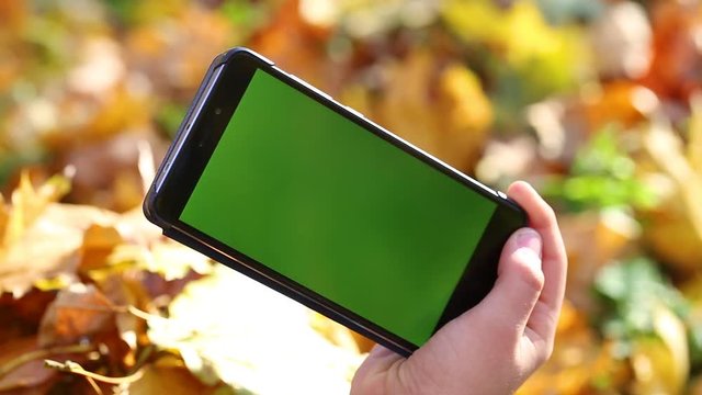 Closeup top view of hands of preteen child holding cell phone with blank green screen at blurry golden autumn leaves background. Real time full hd video footage.