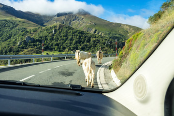 Spanien - Kantabrien - Picos de Europa