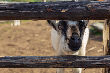 Russia, Republic of Karelia