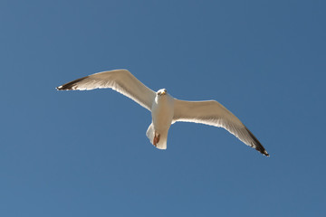 Snowdonia National Park in Northern Wales taken in June 2018
