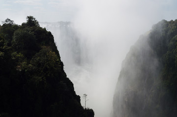 Victoria Falls with Lonely Tree Seen from Victoria Falls Bridge