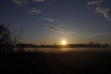 Fototapeta premium Mglisty wschód słońca