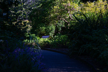 Garden Path