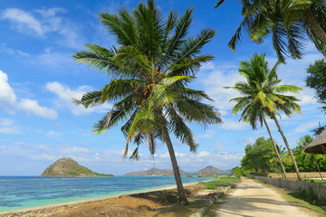 Sandy road along the ocean coast with turquoise water, rocks and green palm trees, Sumbawa, Indonesia