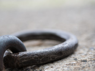 Lake Minnawanka Macro