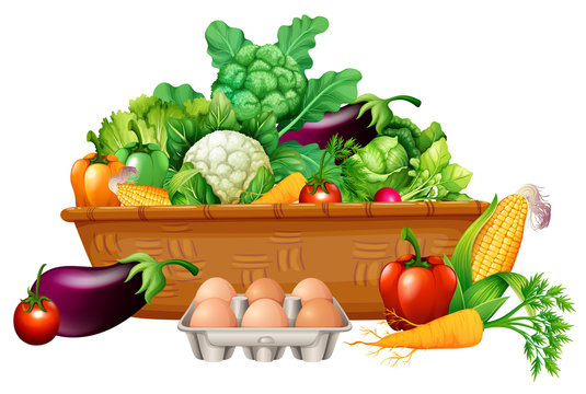 Vegetable basket drawing Vectors & Illustrations for Free Download | Freepik
