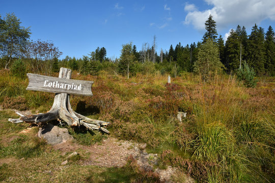 Lotharpfad im Schwarzwald; Baden W&uuml;rttemberg; Deutschland;