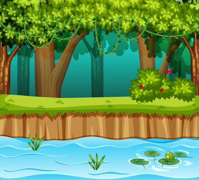 forest with river scene