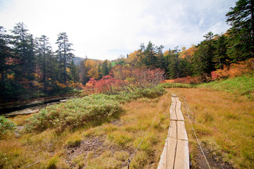 hiking path in hokkaido mountain in autumn, red leaves season