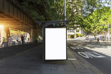 Lightbox advertisement next to the Sydney city bus stop in Australia