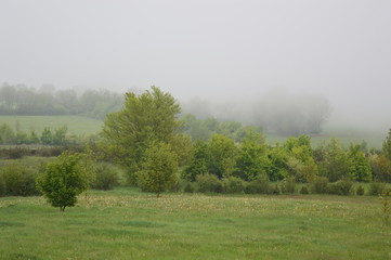 Brouillard en campagne