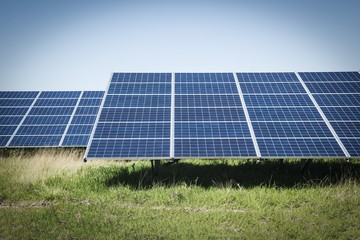 Solar panels in field