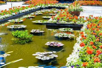 Fototapeta premium pond
