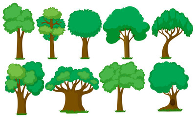 Set of various trees