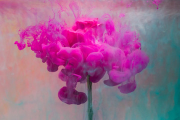 Colorful drop falling on a beautiful rose.