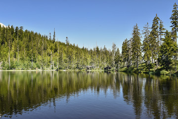 Prasily Lake, natural lake in the Czech Republic is located in the Sumava mountains