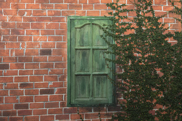 Old Texture brick wall, detailed pattern covered in ivy