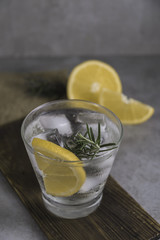 Alcoholic drink gin tonic cocktail with lemon, rosemary and ice