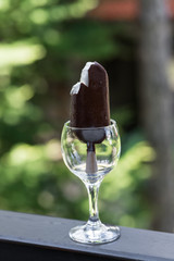 ice-cream, wine glass, garden, summer, dessert, wooden railing, balcony, happy, day, green background