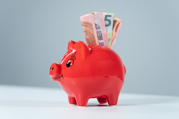 rotes Sparschwein mit Geldscheinen