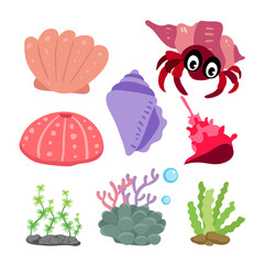 marine life vector collection design