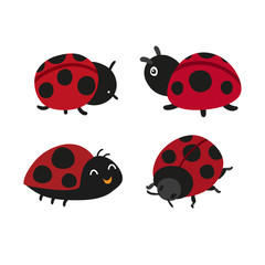 ladybug vector collection design
