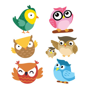 owl vector collection design