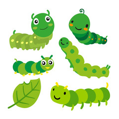 worm vector collection design