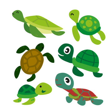 turtle vector collection design