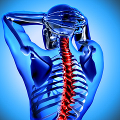 3d medical figure with neck bones highlighted