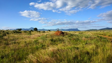 natural green landscape in kenya