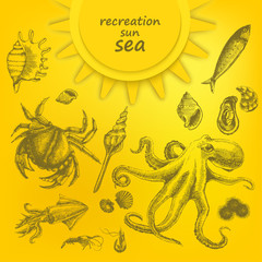 Beautiful marine set on yellow background. Marine residents. Vector