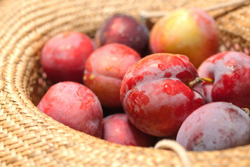 fresh red plums in straw hat, selective focus