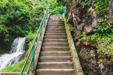 stairs through into the forest with waterfall
