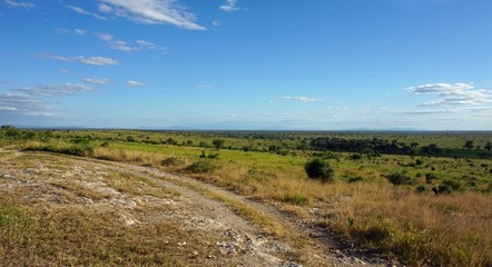 natural green landscape in kenya