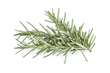 Rosemary isolated on white background