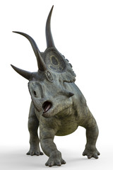 Fototapeta premium diabloceratops on white background