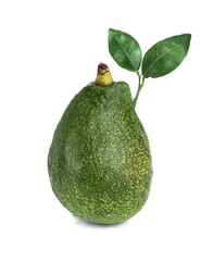 Avocado with leaf isolated on white