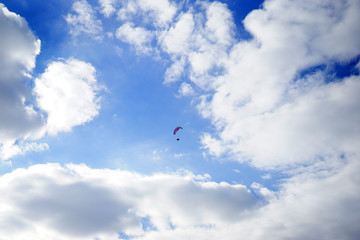 Naklejka na ściany i meble paragliding