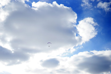 Naklejka na ściany i meble paragliding