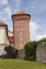 Château Wawel à Cracovie, Pologne	