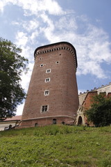 Tour du château Wawel à Cracovie, Pologne