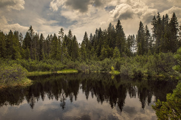 swamp and lake witk sky in Sumava